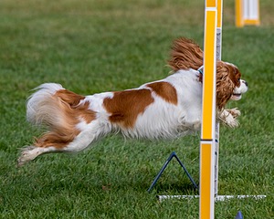 20200819-0104.jpg
