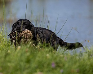 Ella Haggerty