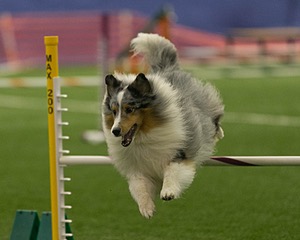 20150321-LEAP-1331.jpg