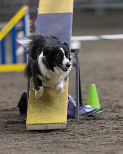 Breeze Schunk