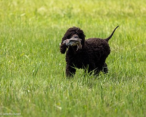 20220613-WD-0485.jpg