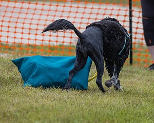 MacKenzie Ratner