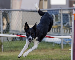 20230916-PVKC-1709.jpg
