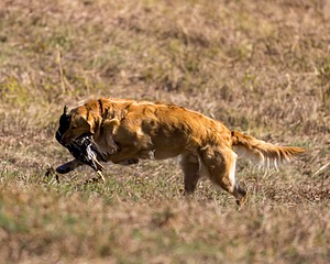 20221008-WCL-0115-Edit.jpg
