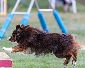 20200819-2804.jpg