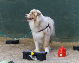 20260718-NSKC-0612.jpg