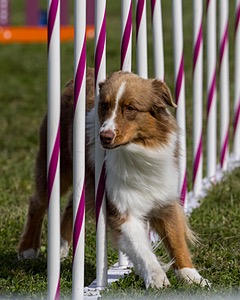 20230916-PVKC-1277.jpg