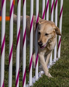 20230916-PVKC-1458.jpg