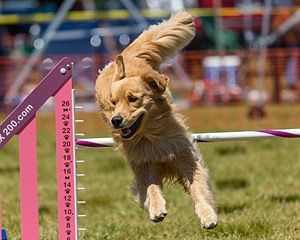 20190615-CCKC-1068.jpg