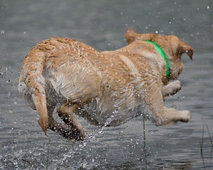 20080601-SRW-1117.jpg