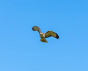20160925-C-0020.jpg