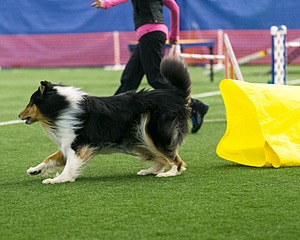 20150322-LEAP-0663.jpg