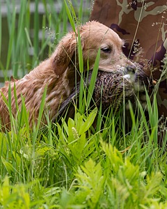 20170603-SEAW-0012.jpg