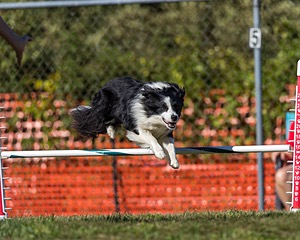 20200819-2603.jpg