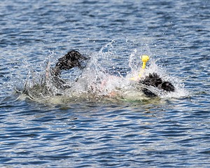 20170820-CWD-0011.jpg