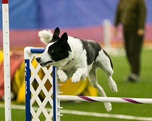20150321-LEAP-0452.jpg