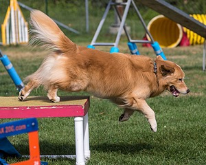 20200819-0568.jpg