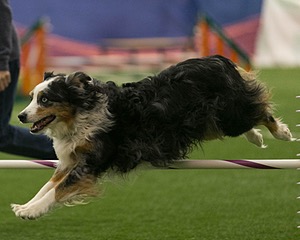 20150321-LEAP-1445.jpg