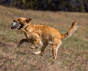 20221008-WCL-0117-Edit.jpg
