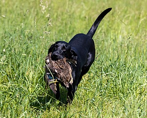 20210606-SEAL-1587.jpg