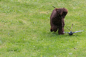 20190512-BD-0021.jpg