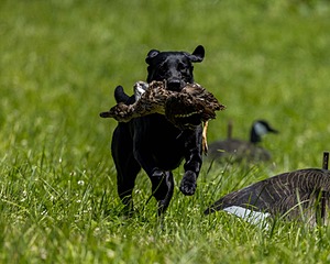 20220605-FINL-1818.jpg