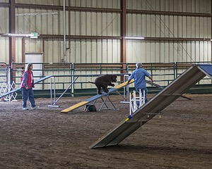 20190513-AG-0103.jpg