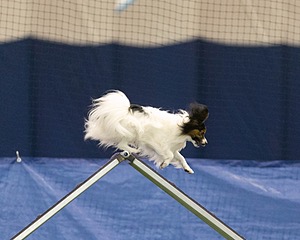 20150321-LEAP-1509.jpg