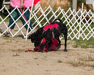 20210912-WWD-0097.jpg