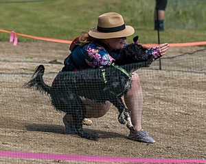 Dottie Notestine
