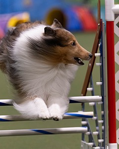 20260221-0748.jpg