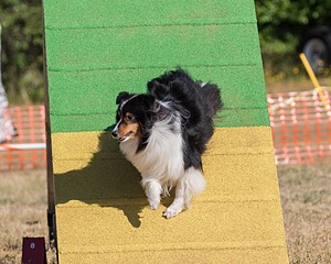 20160619-CCKC-0128.jpg