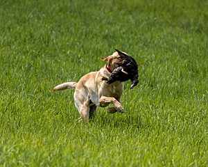 20220604-SHL-1166.jpg