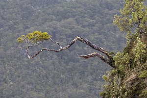 20260326-0087.jpg