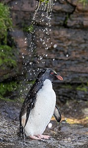 20191212-0378.jpg