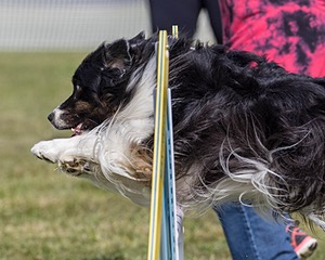 20230916-PVKC-1205.jpg
