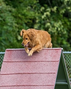 20200819-0391.jpg