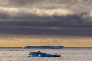 20260319-0096.jpg
