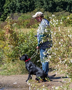 Baxter Morrow