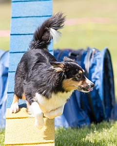 20160514-NEAT-1060.jpg