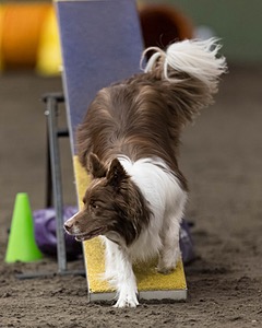 20250615-CCM-0113.jpg