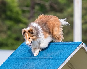 20180616-1835.jpg