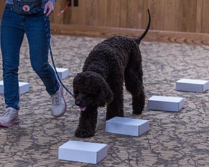 Oscar