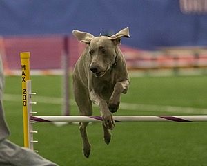 20150321-LEAP-1221.jpg