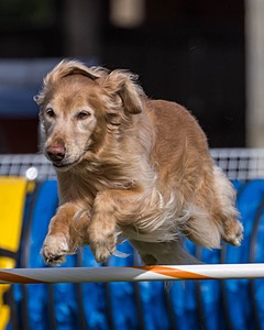 20230916-PVKC-1302.jpg