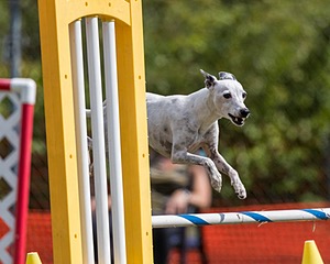 20200819-1068.jpg