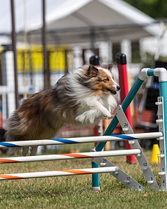 20200819-1242.jpg