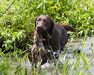20080601-SRW-0949.jpg