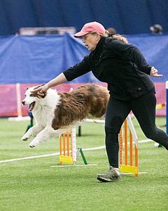 20150322-LEAP-0422.jpg