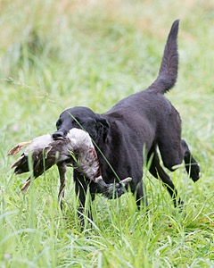 20170805-MH1-2910.jpg